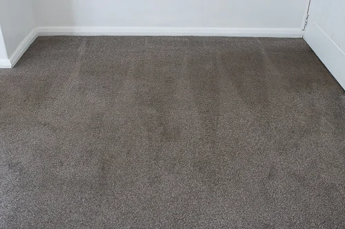 professionally cleaned carpet